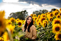 Fall Sessions